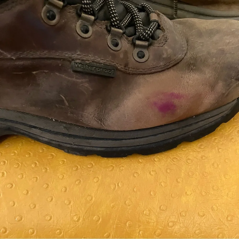 Timberland do paint also